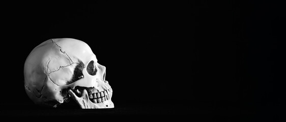 Human skull on a black background in smoke.