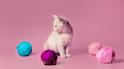 kitten with multi-colored balls of woolen threads on a pink background