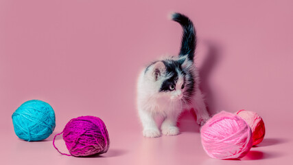 kitten with multi-colored balls of woolen threads on a pink background