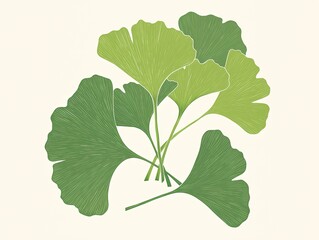 Naklejka premium Ginkgo leaves arranged on off-white background