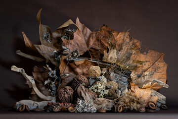 Still life. Autumn mysticism, melancholy. Emotional composition.