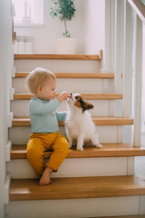 child with cute puppy on stairs