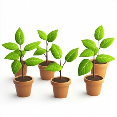 Obraz premium Indoor Potted Plants with Green Leaves in Bright Environment