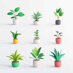 Collection of Decorative Indoor Plants in Colorful Pots Display