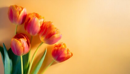 Tulip flowers on a light orange background, top view, flat lay, pastel color. Banner with red flower bouquet made of tulips and blank copy space.
