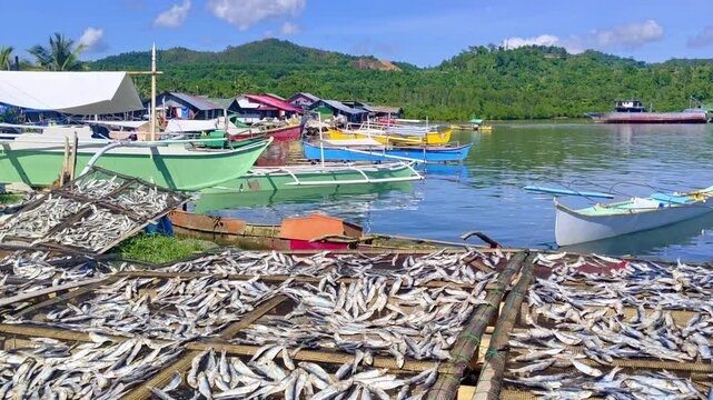 Footage capturing fish being sun-dried at Placer Port in Surigao Del Norte, emphasizing the thriving dried fish sector in the Philippines.