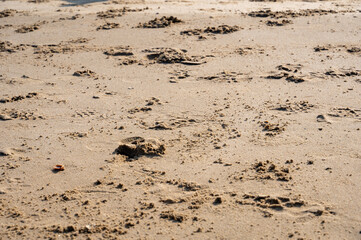 Stirred up wet sand at the sea