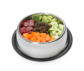 Dry and natural pet food in feeding bowl isolated on white