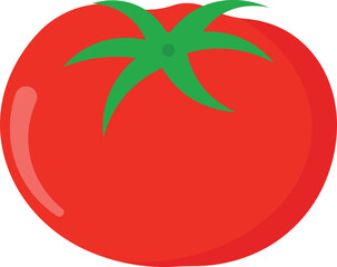 red tomato vector illustration