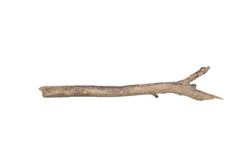 Dry tree twigs branches isolated on white background with clipping path.