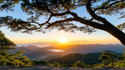 Obraz premium Breathtaking sunrise over mountains framed by silhouetted trees, evoking tranquility