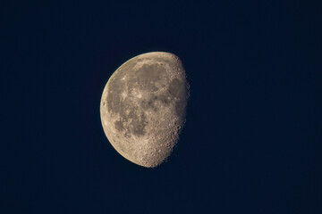 Half moon photographed early in the morning