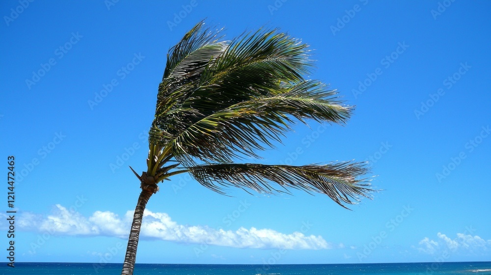 Poster swaying palm trees dance softly in the warm sunlight, framed by a vast blue sky. the tranquil ocean 