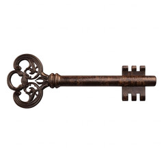 Intricately Designed Skeleton Key with Heart-Shaped Bow and Serrated Bit
