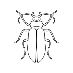 black and white bug outline vector illustration