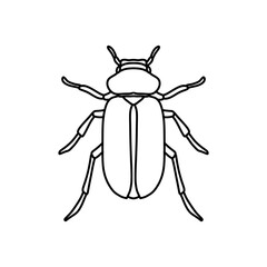 black and white bug outline vector illustration