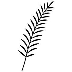  fern frond dip line art vector illustration 