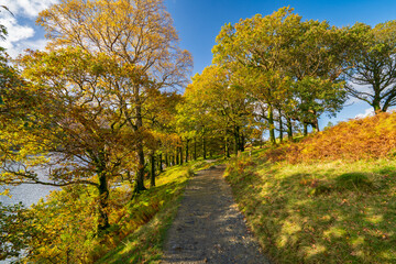 Buttermere Walk in the Lake District, UK. Tranquil landscape autumn scene. Nature background