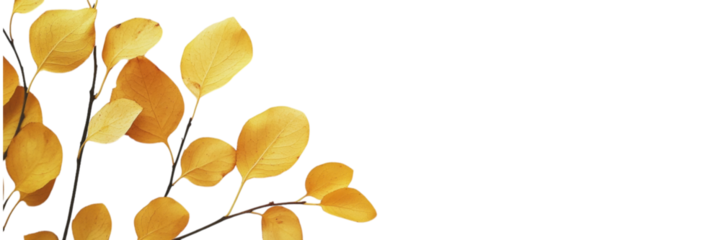 Autumn Serenity, A tranquil scene featuring vibrant yellow leaves against a crisp white backdrop, evoking a sense of calm and simplicity.