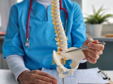 A trauma surgeon demonstrates the anatomy of the spine using a model in a clinic.