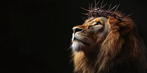 Majestic lion wearing a crown of thorns, set against a dark background, symbolizing strength and sacrifice. Perfect for religious, spiritual, and artistic themes.