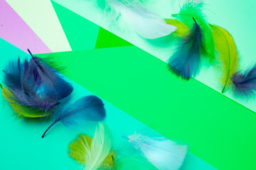 Cardboard, feathers, paper, stacking, color, background, template