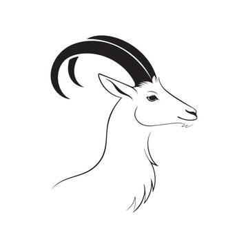 recommend clip art: Beautiful Llama Head out line silhouette vector art illustration on white background