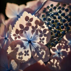 Sun Dappled Petals Patches of sunlight dapple the surface of a h