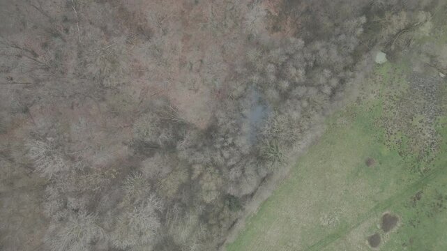 For&ecirc;ts en hiver et champs vus &agrave; la verticale depuis le ciel