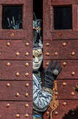 Disguised Person - Annecy Venetian Carnival 2014