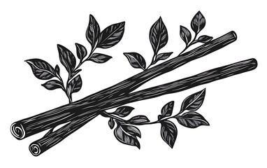 Vector illustration of cinnamon sticks with leaves. Botanical drawing. Perfect for culinary or food design