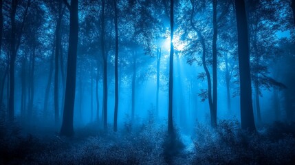 Fototapeta premium A quiet, misty forest under the moonlight, exuding mystery. Ideal for nature themes, storytelling, and atmospheric designs.