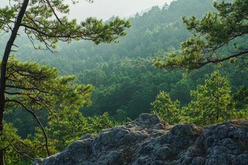 Fototapeta premium Mountain landscape. Summer nature.