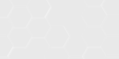 Abstract white hexagon background. Vector Illustration. Hexagon concept design abstract technology background. 3D Futuristic abstract honeycomb mosaic white background.