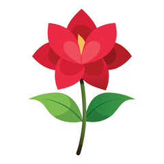 Vibrant Red Flower Vector Illustration