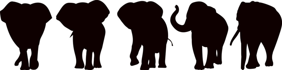 elephants walking set silhouette on white background vector