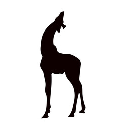 giraffe looking up silhouette on white background vector