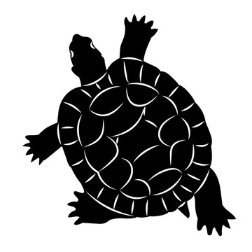turtle crawling top view silhouette on white background vector