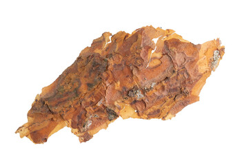 isolated pieces of pine bark	