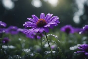 Fototapeta premium Vibrant Purple Flower in Full Bloom with Soft Petals and Natural Background. Generative AI