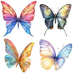 Colorful watercolor butterflies nature garden art vibrant environment close-up view beauty of nature