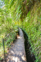 Obraz premium Narrow path along levada Caldeirao Verde (irrigation canal) in the island of Madeira, Portugal