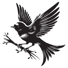 Silhouette of a bird on white background
