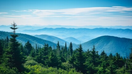 Panoramic View of Wilderness at Clingmans Dome in Great Smoky Mountains National Park, North Carolina: A Picturesque Mountain Background with Copy Space