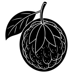 pumpkin isolated on white