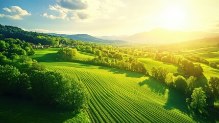 Obraz premium Aerial View of Farmland Under Bright Sunlight