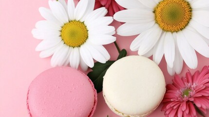 Delightful Macarons and Daisies: A Sweet Floral Delight