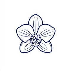 Blue Orchid Line Art, White Background, Simple Design, Floral Print