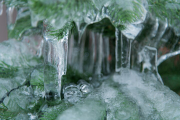 Frost encrusts the leaves of evergreen plants in a city park, showcasing the beauty of winter's grip on nature. The scene captures the peaceful stillness of a cold day.