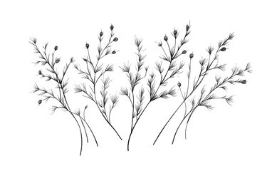 Naklejka premium Hand drawn botanical illustration of sprigs, perfect for decorative use, isolated on white background